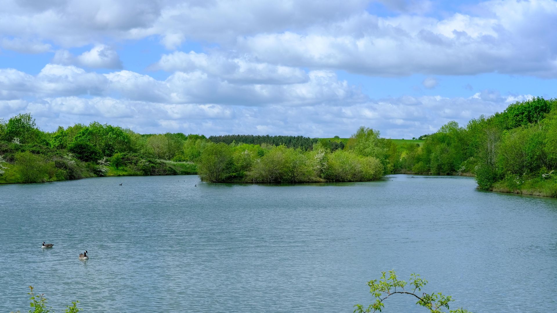Lake at the Waste Management centre